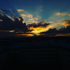 Die blaue Bärentatze