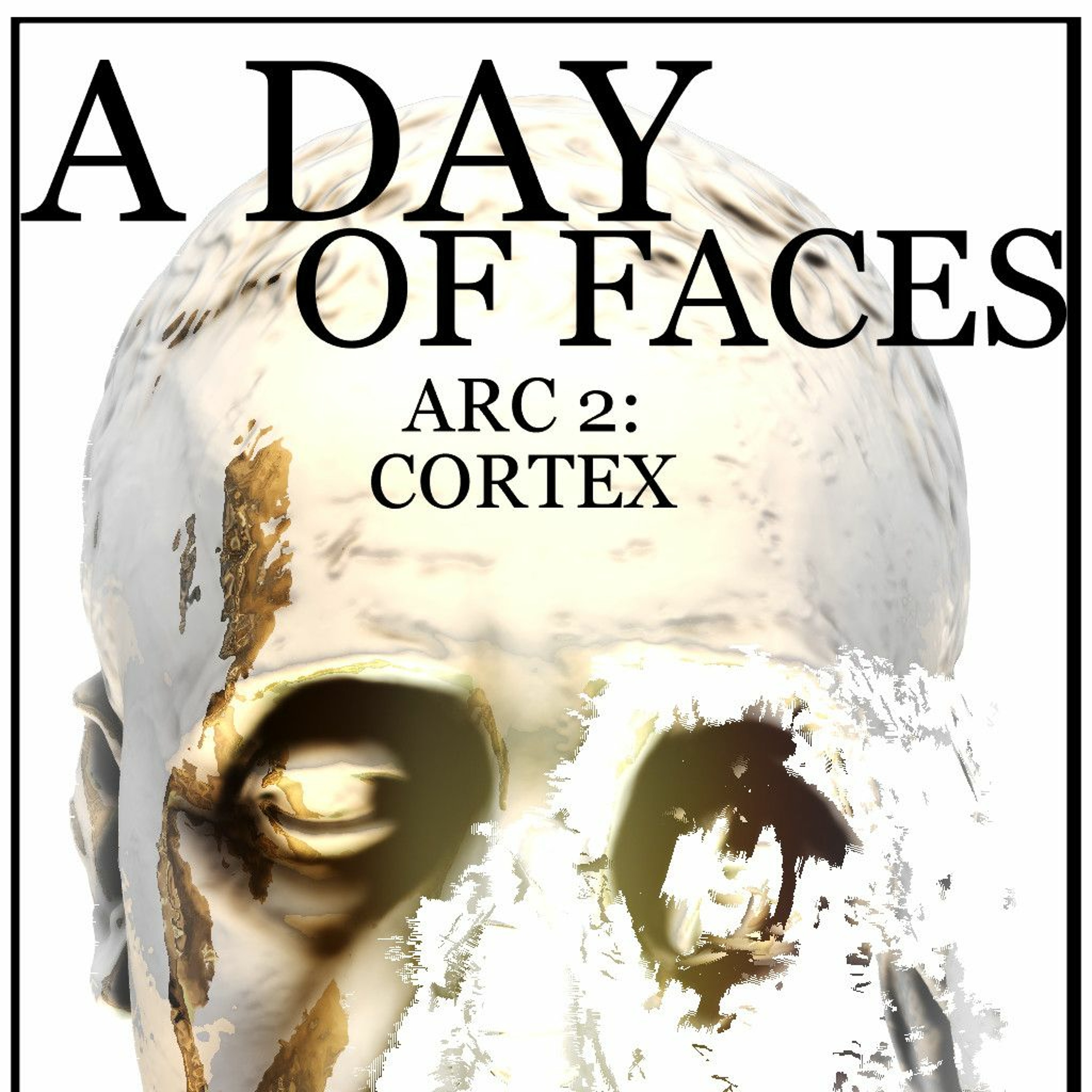 A Day of Faces audiobook