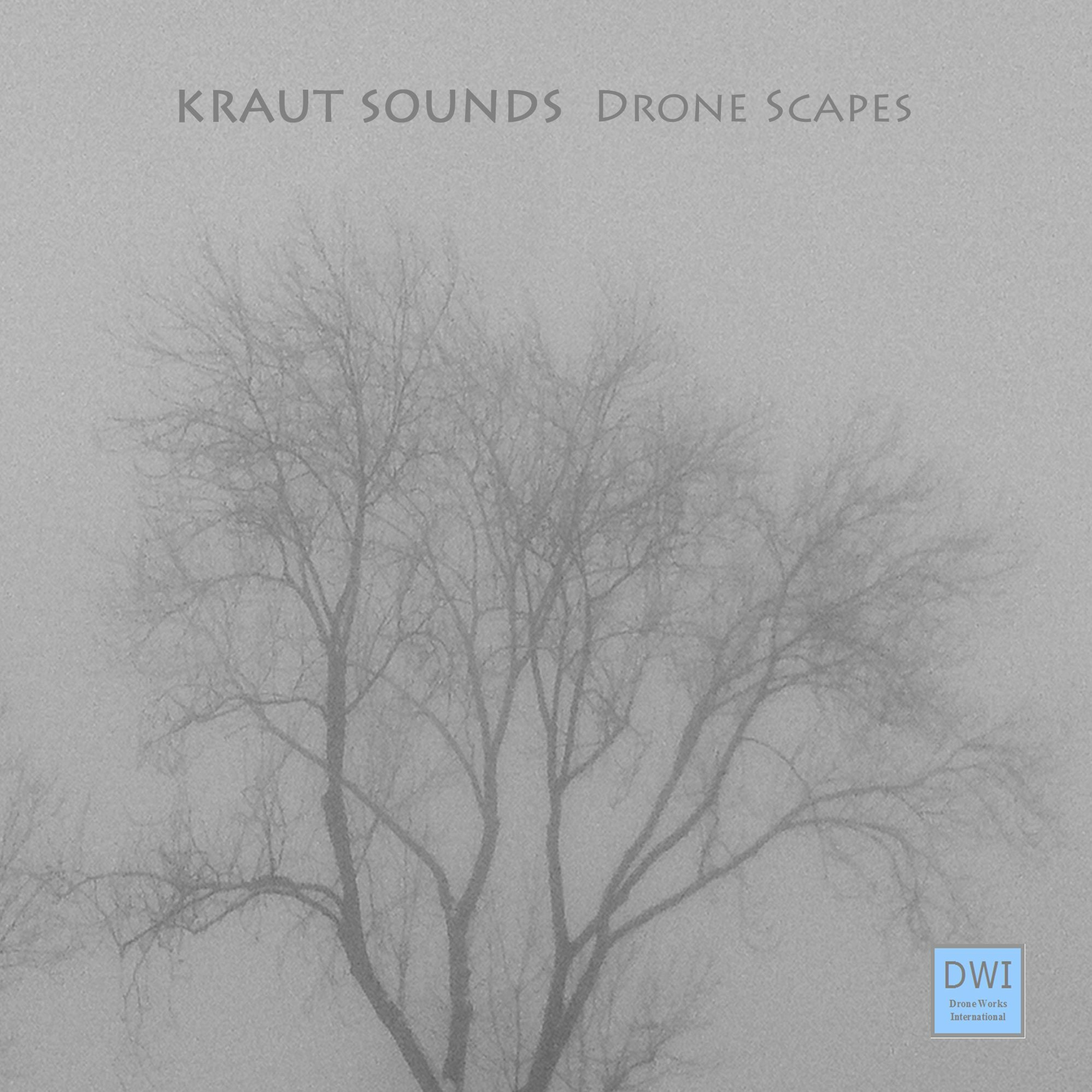 Kraut Sounds - Drone Scapes (Album) episode artwork