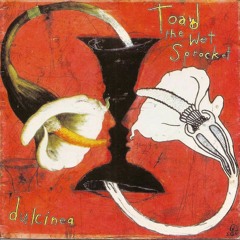 Somethings Always Wrong - Toad the Wet Sprocket [Cover]