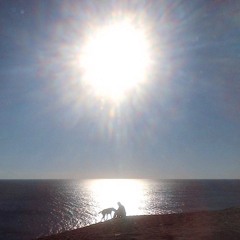 They Don't Know (Tracey Ullman cover)