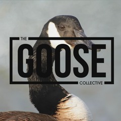 The Goose Collective Podcast
