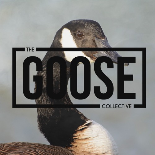 The Goose Collective Podcast