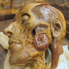 Giulia Longo – Histoire de cire