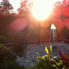 I'm With You (Contagious) - Jesse Dill collaboration