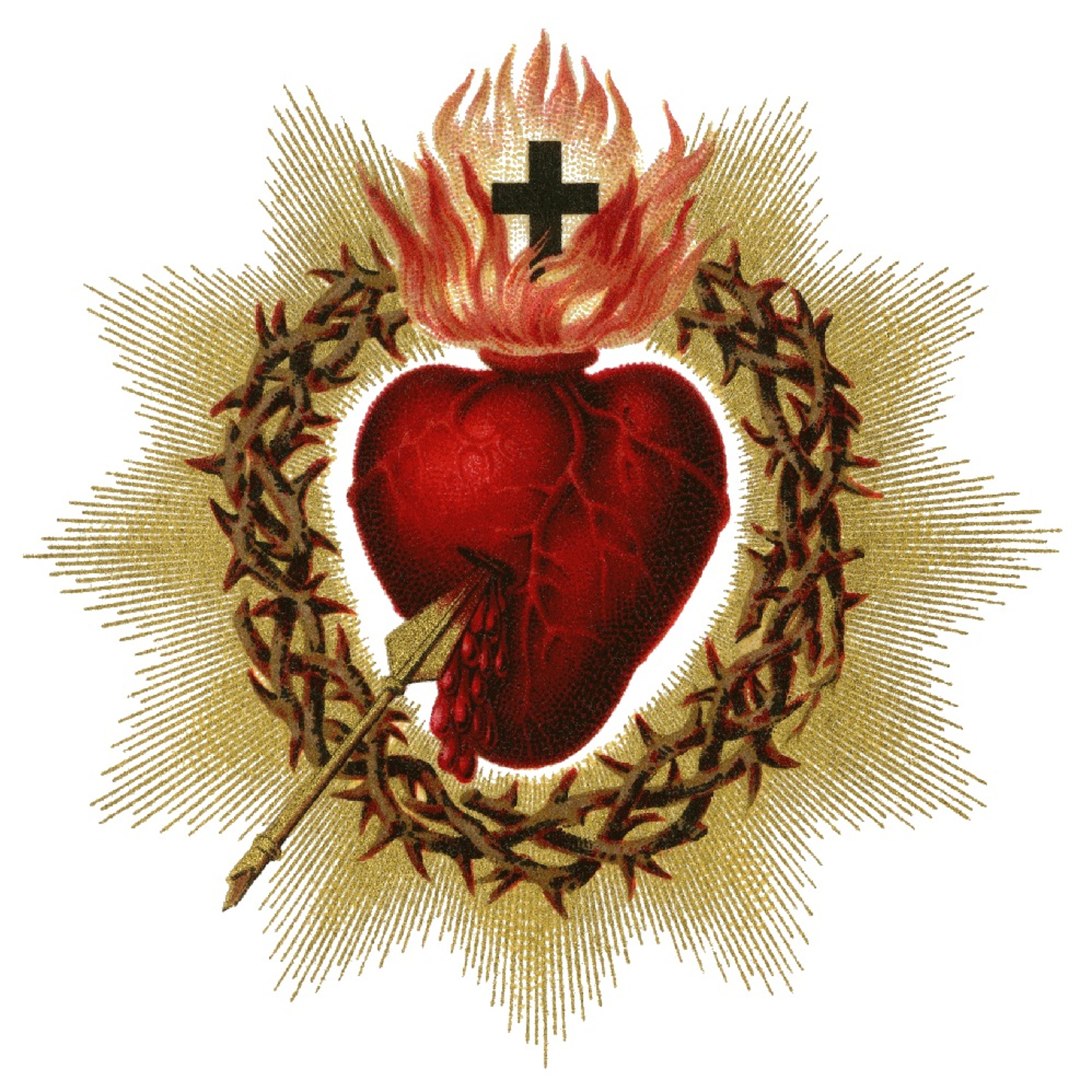 Fr. Brent Maher