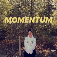 Momentum