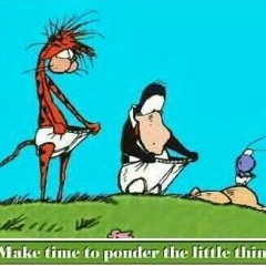 funnylittlething