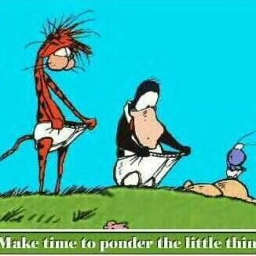 funnylittlething