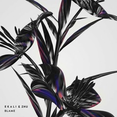 Ekali & ZHU - Blame (Divine Remix)
