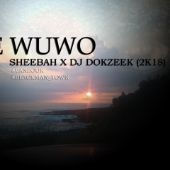 Nze Wuwo (LimeRemiix)-Sheebah x DJ Dokzeek (2K18)