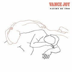 Vance Joy - I'm With You (FELD Flip)