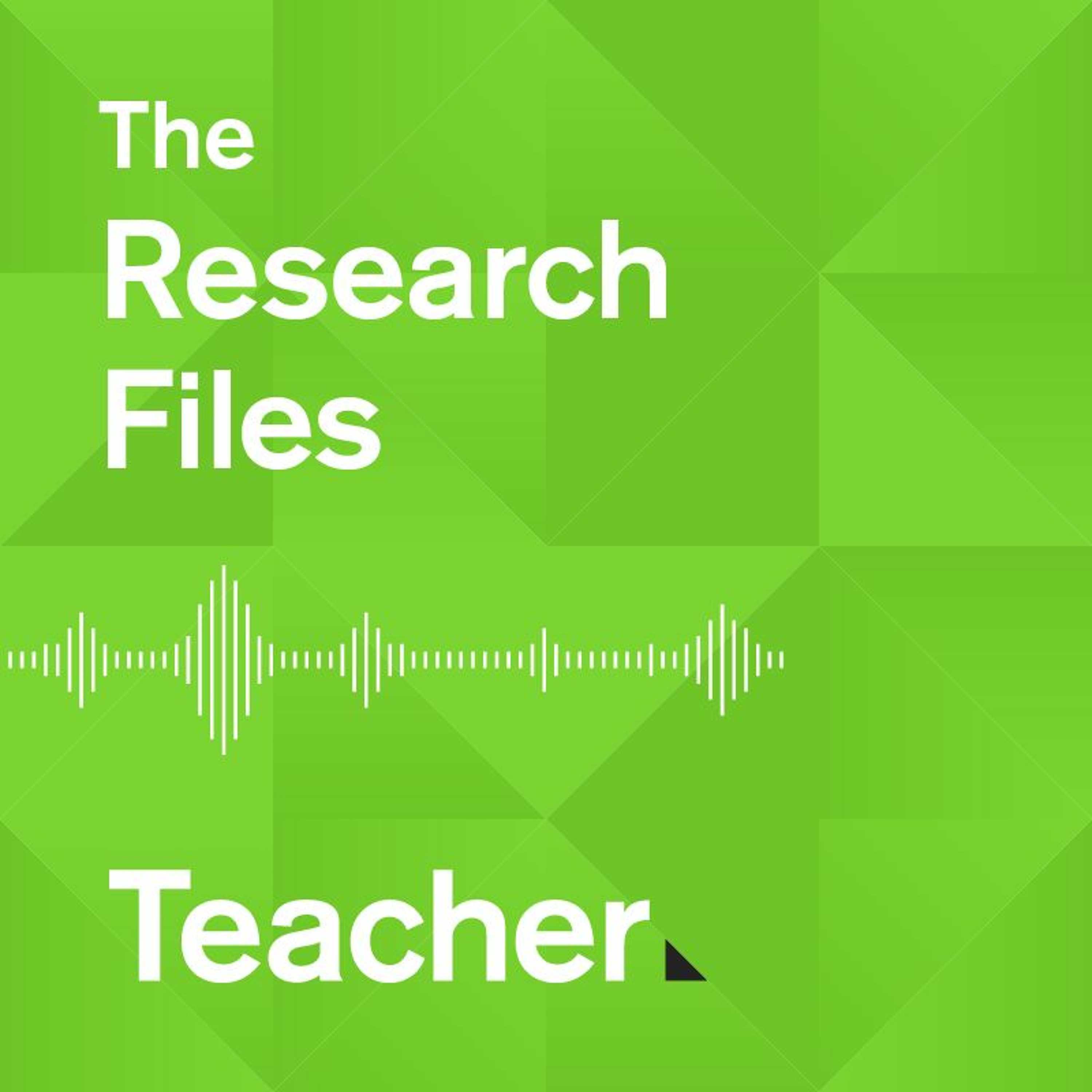 The Research Files Episode 37: Dr Sue Thomson discusses PIRLS 2016 episode artwork
