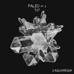 747 - Pangea (Original Mix) [Aquaregia]