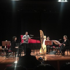 Parallel Textures - III / performed by Ensemble Airborne Extended in Ankara