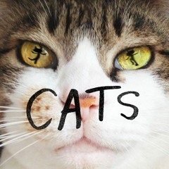 毛玉／山田稔明