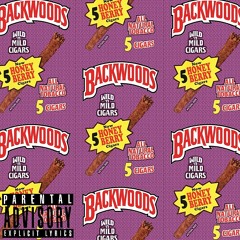 yf.$avage - $moking woods (ft cheke X Beto) prod.by  KAST