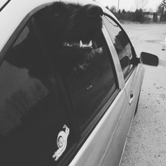 just hit my BOOST [available now: www.traktrain.com/mysterebeats]