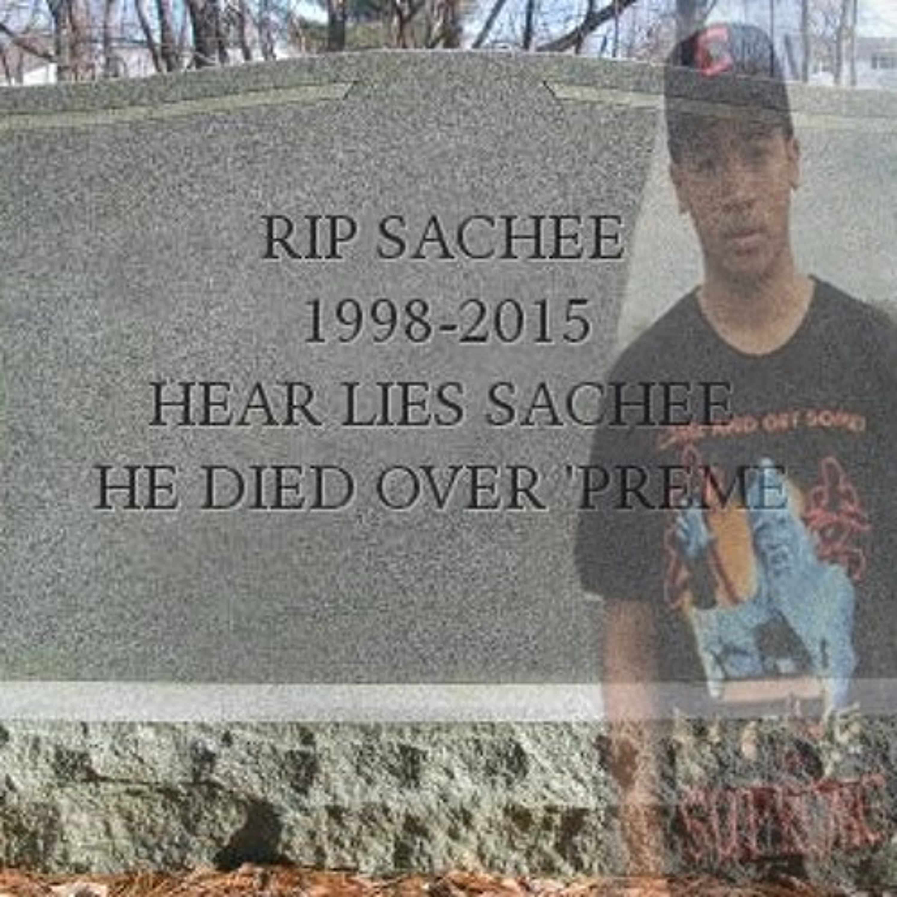 Woody Vs. Sachee NY