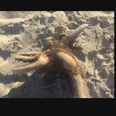 wandering abstraction