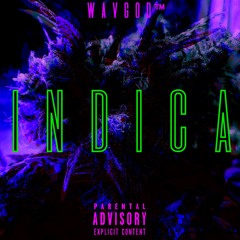 INDICA