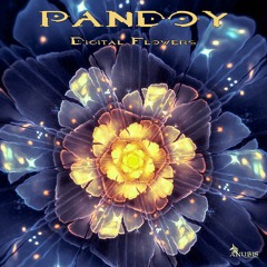 Pandoy - Digital Flowers EP - Preview -