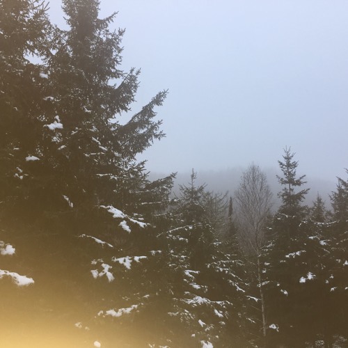 Stream Home Edward Sharpe and the Zeros by Mia Delisle
