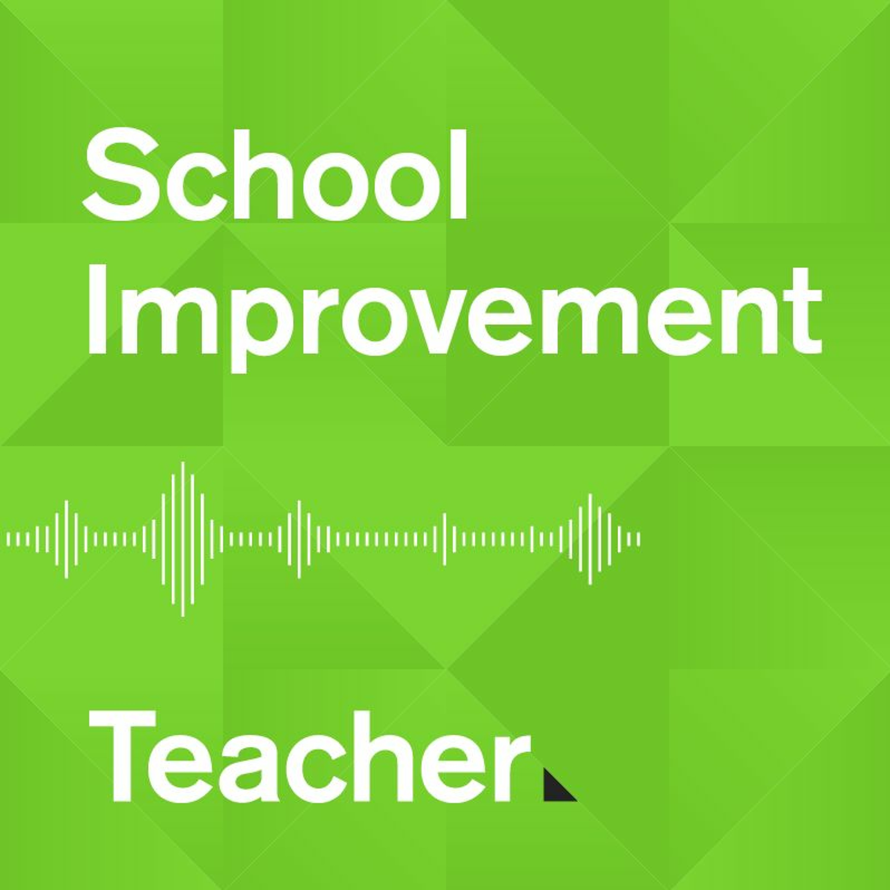 School Improvement Episode 9: Using literacy data to inform strategic planning