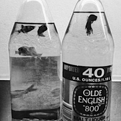 40 oz. Freestyle [prod. Tomcbumpz]