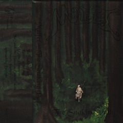 Malfet - The Snaking Path