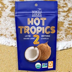 HOT TROPICS 2 DEMO