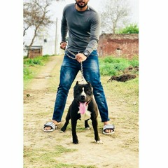 Nalaik nanke. Kabal ਸਰੂਪਵਾਲੀ 😎Sandhu 😎