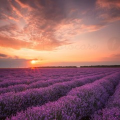 Mönsche (AT_remix 2018)