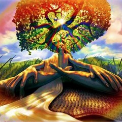 Grow Your Roots Meditation