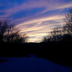 Thot Be Gone [Beat. Lil Shark]