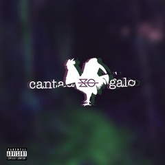 Slow Gang - Canta Galo (Áudio Oficial)[Prod. Slow Gang]