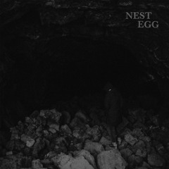 Nest Egg - Denied Doctrine