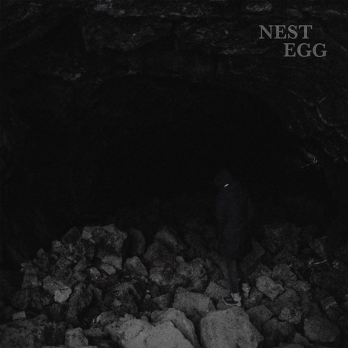 Nest Egg - DMTIV