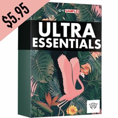 Ultra Essentials by Double Face Brazil | Groove Construction Kits / ONLY $5.95