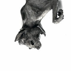 Nordvargr - First East - Excerpt