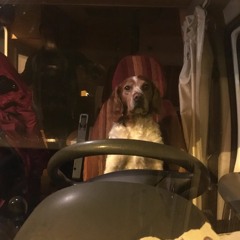 Cornic & Razad - Aucune Classe