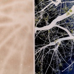 Dycide - Stream Entry