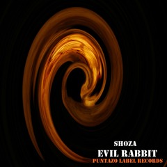 Evil Rabbit(Original Mix)[Puntazo Label Records]
