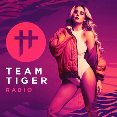 Team Tiger Radio #038 feat. Brooklyn