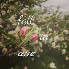 Fall In Awe