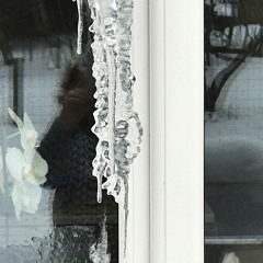 She Moved Through The Fair - Sheila Trow, Fiona Monteith-Preston, Joan Dawson