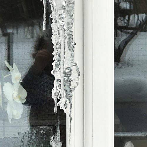 She Moved Through The Fair - Sheila Trow, Fiona Monteith-Preston, Joan Dawson