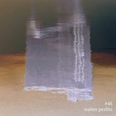 Lostcast #46 | Walter Perlitz