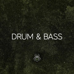 Drum & Bass