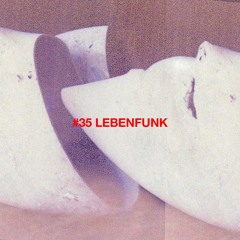 Tapecast 35 - Lebenfunk